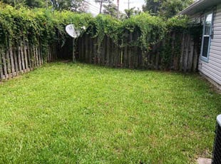Clorissa M.'s turf care service result
