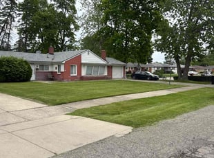 Allison H.'s grass maintenance service result