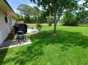 Ally N.'s grass cutting service result