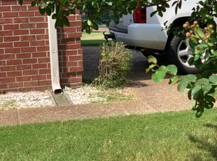 Virgil A.'s Bush Trimming service result