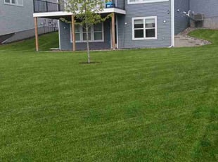 Andrew H.'s lawn maintenance service result