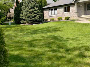 Marriel G.'s lawn care service result