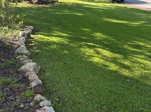 Francisco A.'s turf maintenance service result