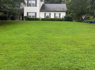 Sharay G.'s lawn maintenance service result