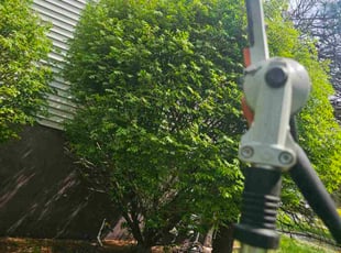 Deborah W.'s Bush Trimming service result