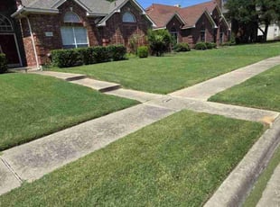 Dwight S.'s lawn care service result