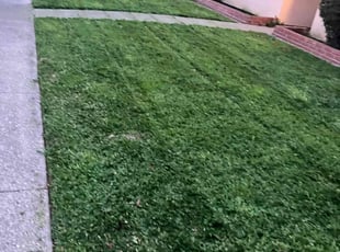 J. W.'s lawn care service result