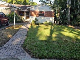 Michael J.'s turf care service result
