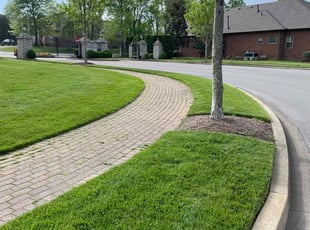 Malique S.'s grass cutting service result