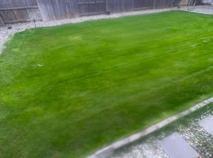 Howard W.'s grass cutting service result
