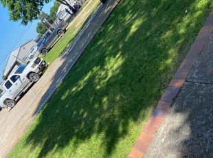 Tasha N.'s grass cutting service result