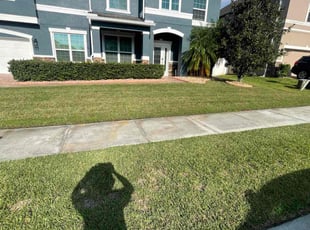 Ray K.'s grass maintenance service result