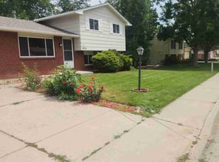LaTosha G.'s lawn care service result