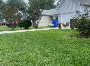 Seth T.'s lawn care service result
