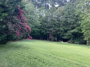 Sharon B.'s lawn care service result