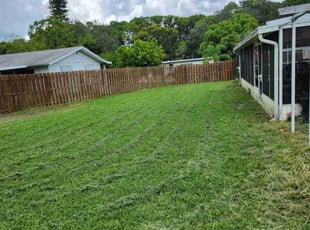 Curtis S.'s turf care service result
