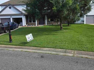 Peter B.'s grass maintenance service result