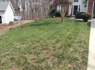 Elizabeth A.'s lawn care services service result