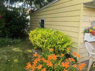 Fernando C.'s Bush Trimming service result