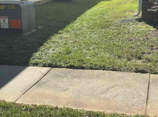 Michelle E.'s grass maintenance service result