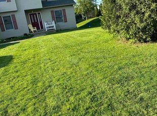 Abood A.'s lawn maintenance service result
