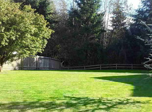 Erik B.'s lawn service service result