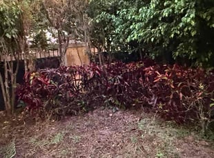 Christopher C.'s lawn care services service result