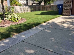 Macie W.'s lawn service service result