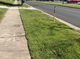 Megan S.'s lawn care services service result