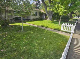 Amber S.'s lawn care service result