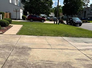 Aretina A.'s lawn maintenance service result
