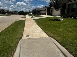 Carol D.'s grass cutting service result