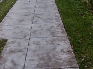David L.'s Leaf Removal service result