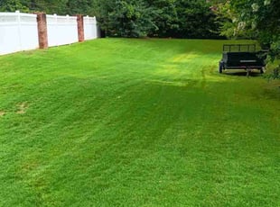 Caroline P.'s grass cutting service result