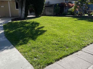 Scout H.'s lawn care services service result