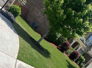 Usif M.'s turf maintenance service result