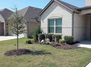 Heather K.'s Bush Trimming service result