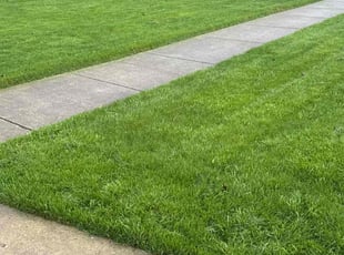 Kaiser R.'s lawn maintenance service result