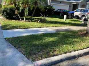 Aaron C.'s lawn care service result