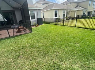 Kelsey P.'s lawn care services service result