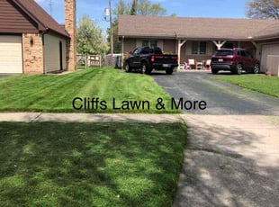 Deborah L.'s turf maintenance service result