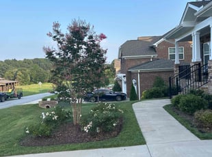 Javier M.'s lawn service service result