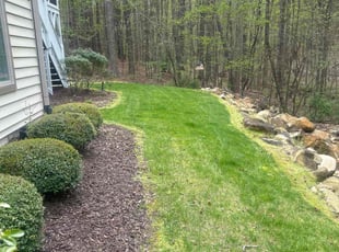 Bruce V.'s grass maintenance service result