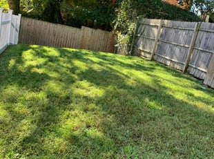 Brian S.'s Long Grass Cleanup service result