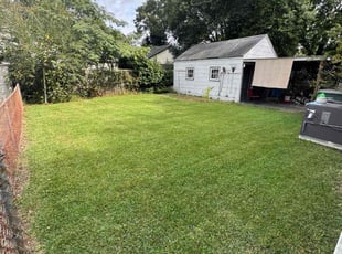 Janelle H.'s turf maintenance service result