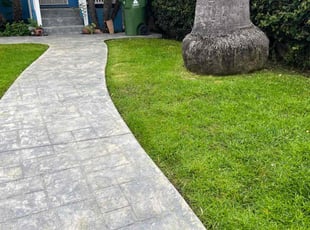 Dennis F.'s grass cutting service result