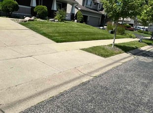 Diane b.'s lawn care service result