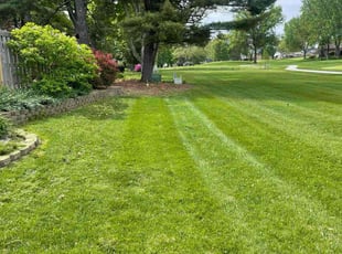 Michael W.'s turf maintenance service result