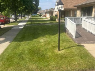 Daniel R.'s grass cutting service result