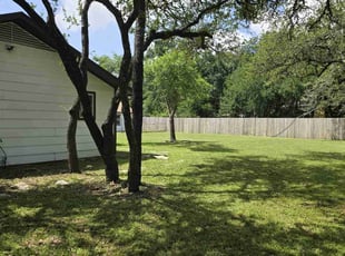 Dorothea S.'s lawn care services service result